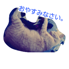 [LINEスタンプ] ちょびすけ