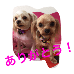 [LINEスタンプ] ヨーキー兄弟 2