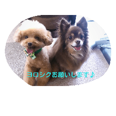 [LINEスタンプ] ボン＆ミュウミュウ