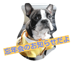 [LINEスタンプ] 鼻ぺちゃ犬の年末年始あいさつ集