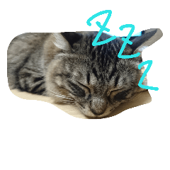 [LINEスタンプ] hallu