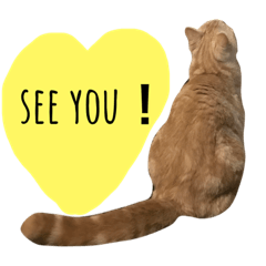 [LINEスタンプ] 猫のさくたろう1