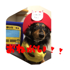 [LINEスタンプ] ダックス兄弟 ちゃんまるパート2