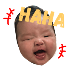 [LINEスタンプ] みりとレディとココとソル