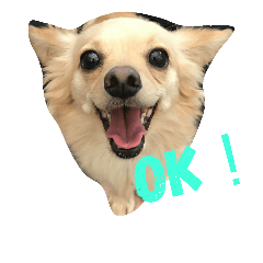 [LINEスタンプ] ここの楽しい日常