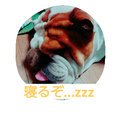 [LINEスタンプ] kikujiro