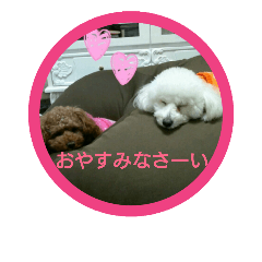 [LINEスタンプ] ゆきしろ