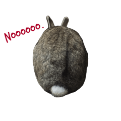 [LINEスタンプ] Rabbit beyar