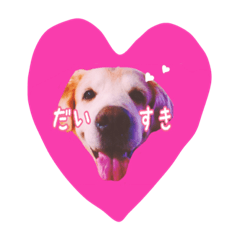 [LINEスタンプ] taiyo himawari！