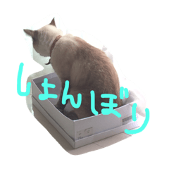 [LINEスタンプ] あんちょびおりーぶ