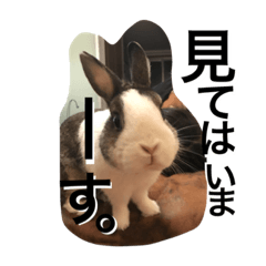 [LINEスタンプ] うさぎのランドさん 待望の第3弾！！ #rabbit