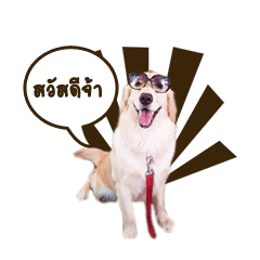 [LINEスタンプ] Kagi cheeky golden