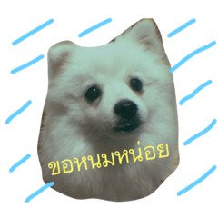 [LINEスタンプ] Fat PP V.1