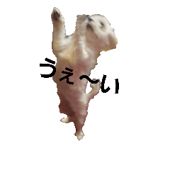 [LINEスタンプ] まるくんの気持ち