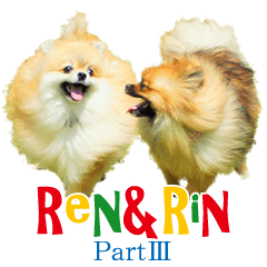 [LINEスタンプ] ポメラニアン蓮＆凜 partⅢ