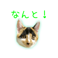 [LINEスタンプ] ゆらりんスタンプver.1