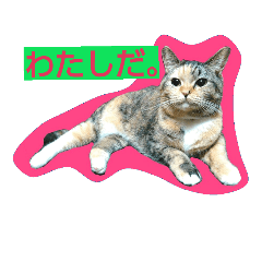 [LINEスタンプ] りあるミロニャンコ2