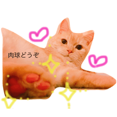 [LINEスタンプ] スーニャンスタンプ 2