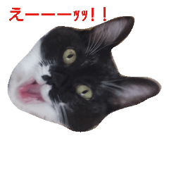 [LINEスタンプ] 双子の姉妹