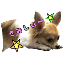 [LINEスタンプ] potetoooo.2