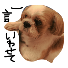 [LINEスタンプ] cocoa no iru seikatu