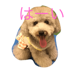 [LINEスタンプ] 愛犬と子供たちのスタンプ