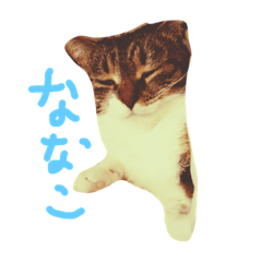 [LINEスタンプ] 菜々子3