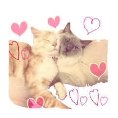[LINEスタンプ] ジルロン