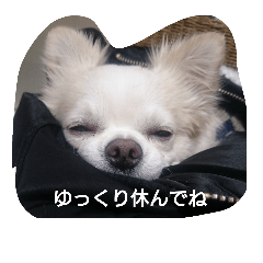 [LINEスタンプ] kintokilove2