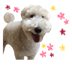 [LINEスタンプ] Our Carl 2