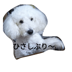 [LINEスタンプ] バニラの毎日4