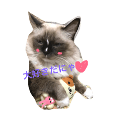 [LINEスタンプ] ナナコと愉快な仲間たち
