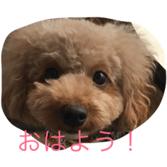 [LINEスタンプ] 我が家の可愛い娘