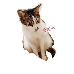 [LINEスタンプ] meow meow uu