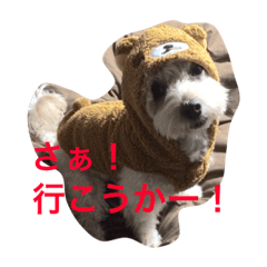 [LINEスタンプ] uchinotake