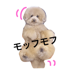 [LINEスタンプ] まんまるぽん太と妹のんとお友達