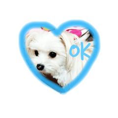 [LINEスタンプ] ビビ様スタンプ