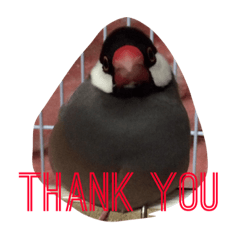 [LINEスタンプ] bird45