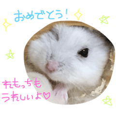 [LINEスタンプ] れもちゃんず2