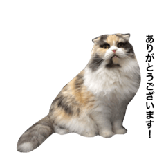 [LINEスタンプ] 猫まみれスタンプ②ねこランド
