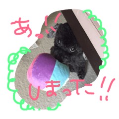 [LINEスタンプ] nagi@sora