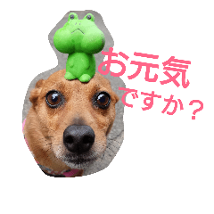[LINEスタンプ] 雑種のむーやん 2