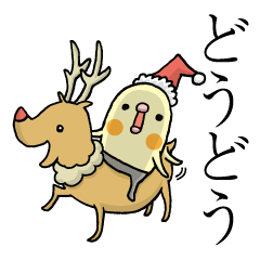 [LINEスタンプ] クリスマスのミタメオカメ。の画像（メイン）