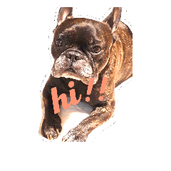 [LINEスタンプ] ゴエモン(フレブル)
