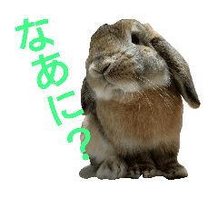 [LINEスタンプ] ワンコになりたいうさぎ 02