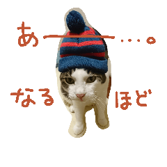 [LINEスタンプ] 白サバ＆黒猫