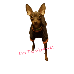 [LINEスタンプ] 甘太の日常.冬