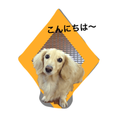 [LINEスタンプ] リサちゃん
