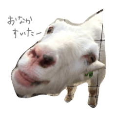 [LINEスタンプ] animal111