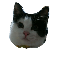 [LINEスタンプ] nekonoso